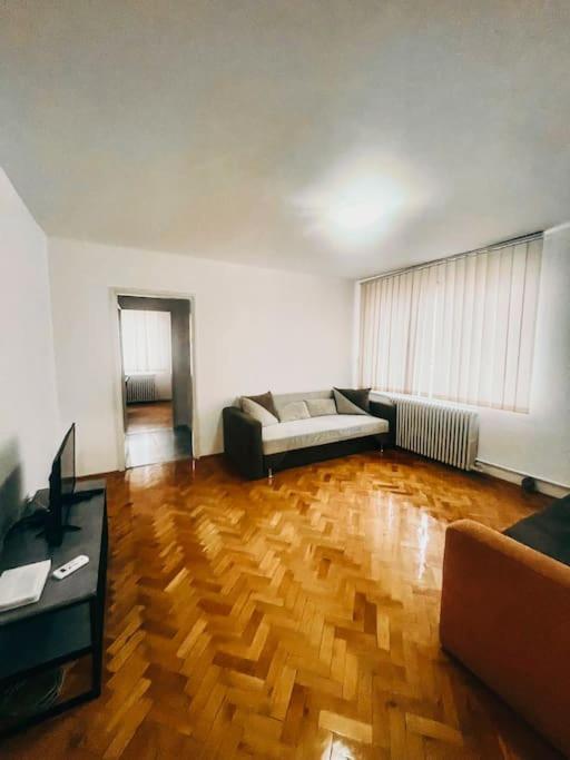 Ultracentral Big Flat Near The Opera Square P17 ティミショアラ エクステリア 写真
