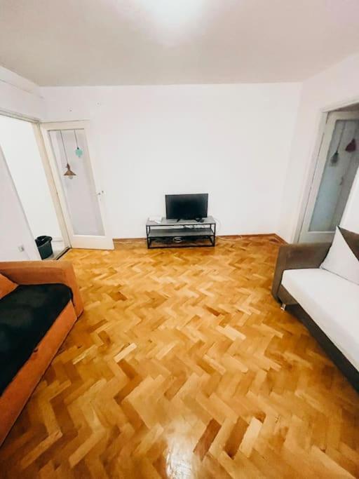 Ultracentral Big Flat Near The Opera Square P17 ティミショアラ エクステリア 写真