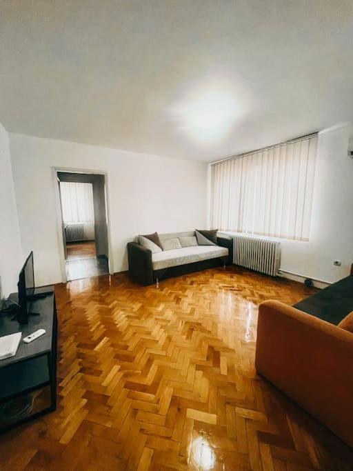 Ultracentral Big Flat Near The Opera Square P17 ティミショアラ エクステリア 写真
