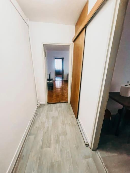 Ultracentral Big Flat Near The Opera Square P17 ティミショアラ エクステリア 写真