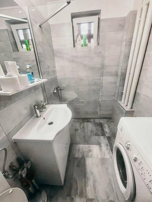 Ultracentral Big Flat Near The Opera Square P17 ティミショアラ エクステリア 写真